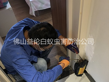 更合住宅白蚁防治工程