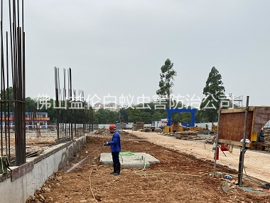 杨和地基防白蚁工程